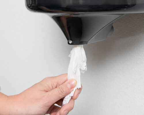 Centre-feed-paper towel-p1