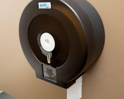 mini-jumbo-toilet-paper-fidan2