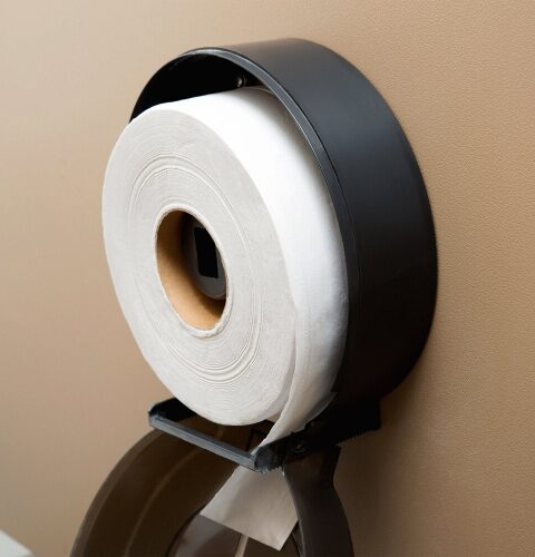 mini-jumbo-toilet-paper-fidan3